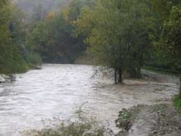 foto piena Fiume Lamone